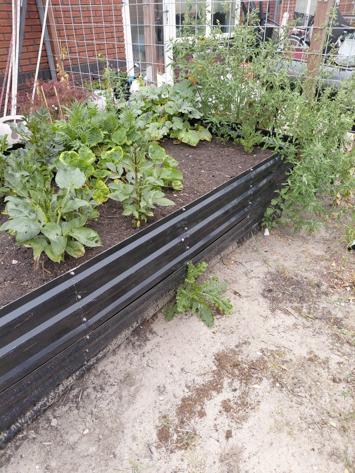metalen tuinbak voor tuin zwart en silvery. nieuw, Ophalen, 100 cm of meer, Nieuw, Balkon