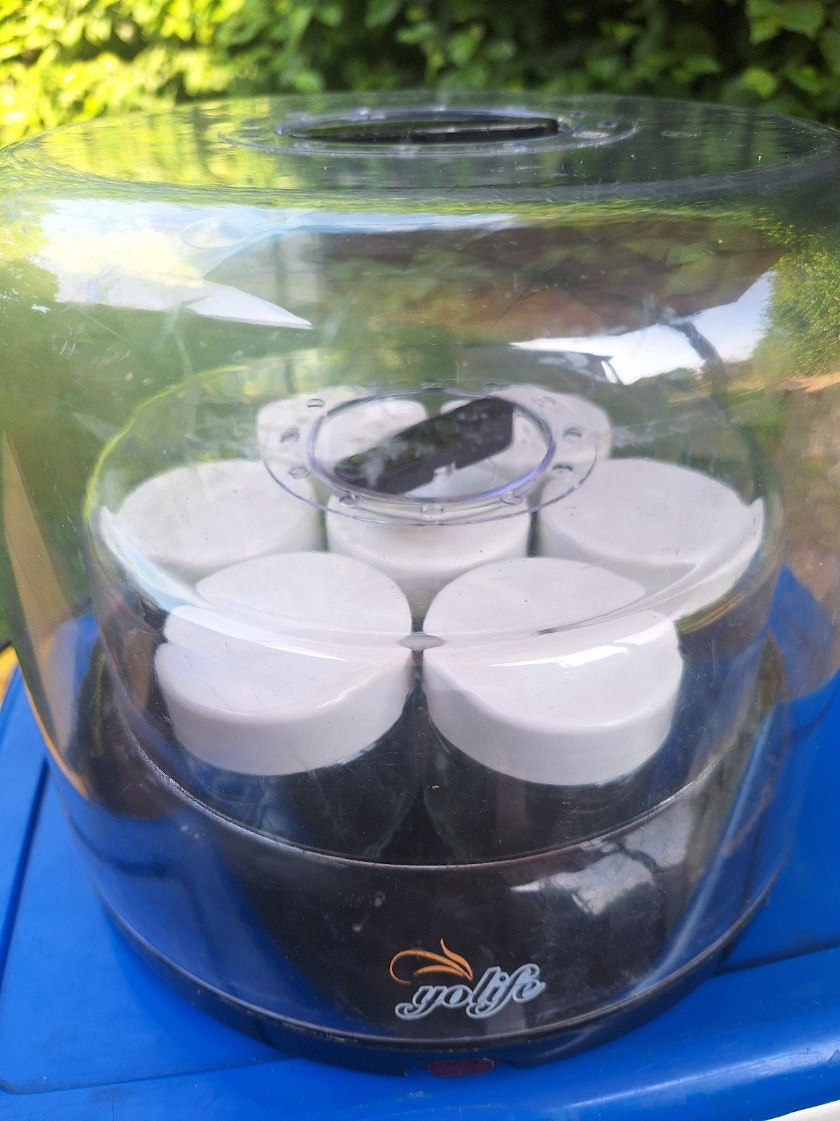 Yoghurtmaker met 7 potjes - Yolife, Ophalen of Verzenden, Gebruikt