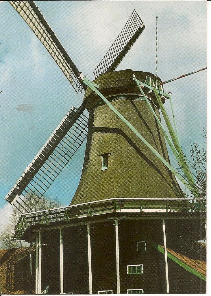 Ansichtkaart: Molen in Koog aan de Zaan, Gelopen, Ophalen of Verzenden, 1980 tot heden, Gelopen, Noord-Holland