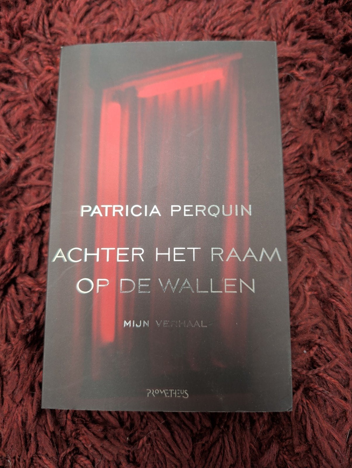 Achter het Raam op de Wallen - Patricia Perquin, Ophalen of Verzenden, Gelezen, Patricia Perquin, Nederland