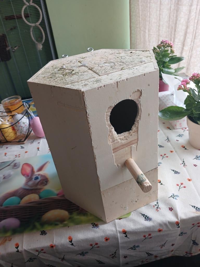 Broedblok voor valkparkieten., Ophalen, Gebruikt, Hout, Broedkooi of Kweekkooi