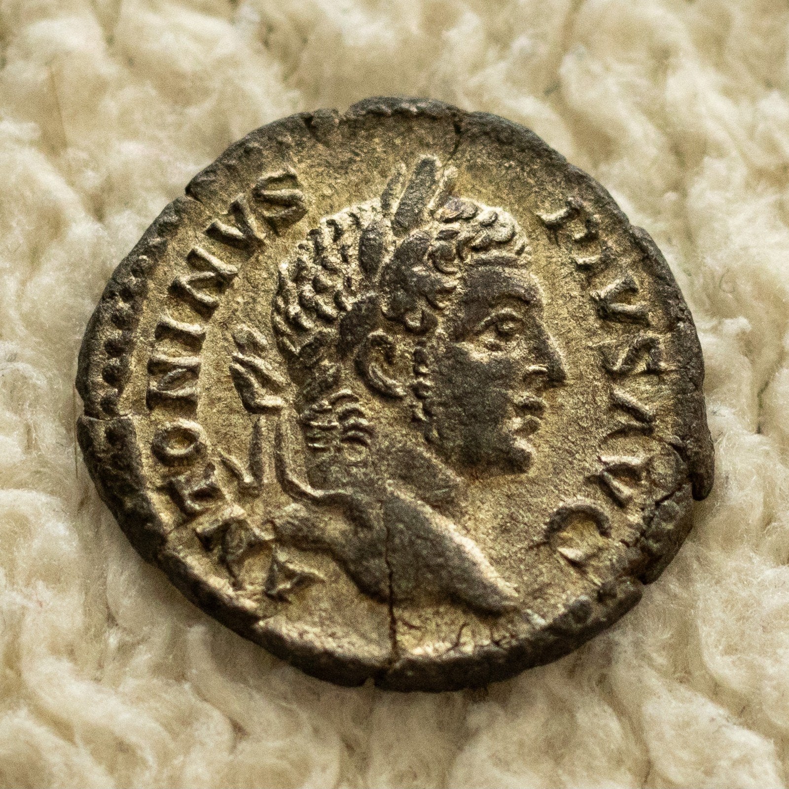 Prachtige Romeinse Munt van Caracalla, Postzegels en Munten, Verzenden, Italië, Losse munt, Zilver