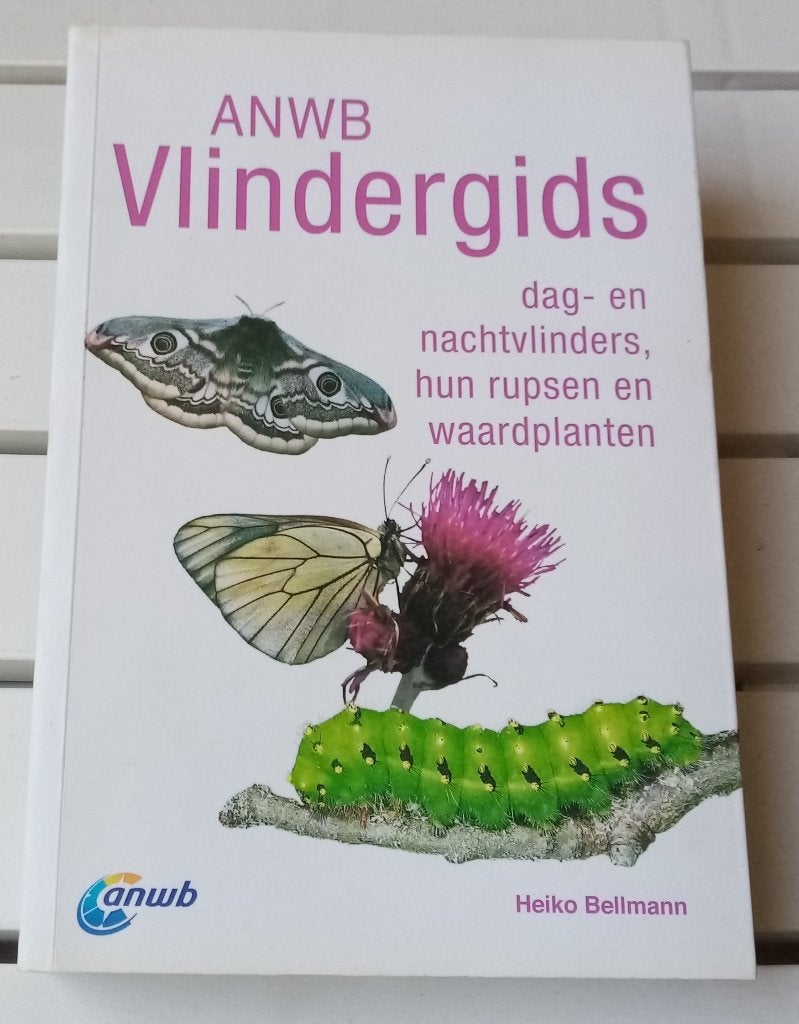 Anwb vlindergids. Dag- en nachtvlinders, hun rupsen…, Boeken, Gelezen, Heiko Bellmann, Ophalen of Verzenden, Overige onderwerpen