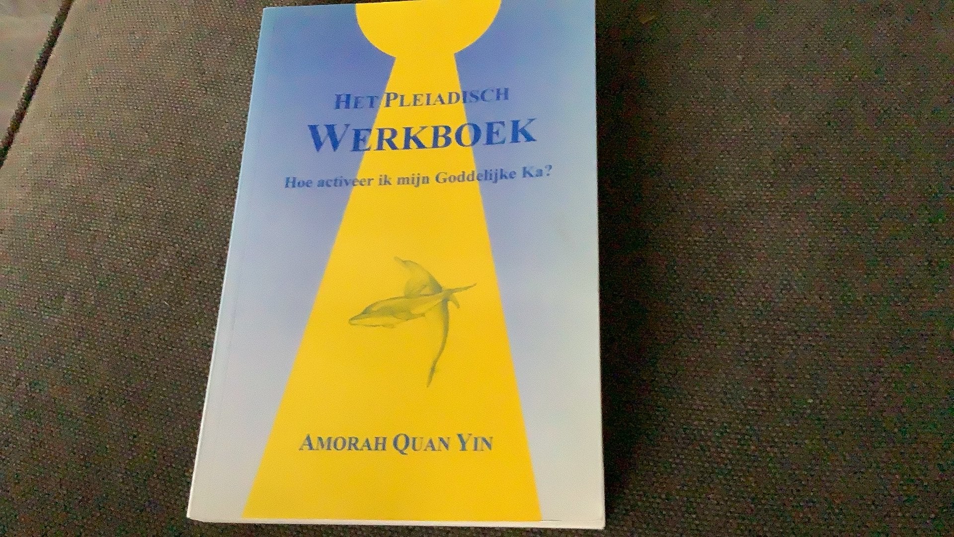 A. Quan Yin - Het Pleiadisch werkboek, Boeken, Ophalen of Verzenden, Zo goed als nieuw, A. Quan Yin