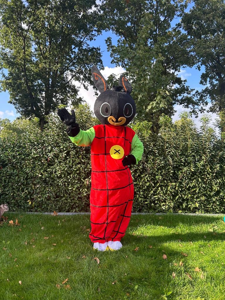 Te Huur: Bing-kostuum, Mascotte, Verkleedkleding, Bing, Ophalen of Verzenden, Zo goed als nieuw, Overige