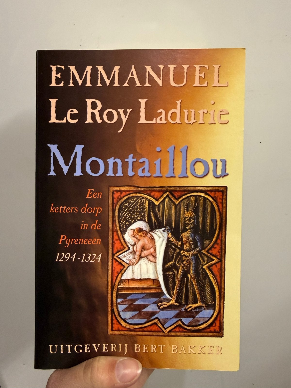 Montaillou: Een ketters dorp in de Pyreneeën, Ophalen of Verzenden, 14e eeuw of eerder, Gelezen, Europa