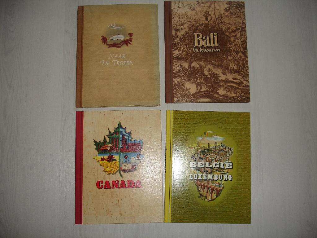 plaatjesalbums, Ophalen of Verzenden, Gelezen