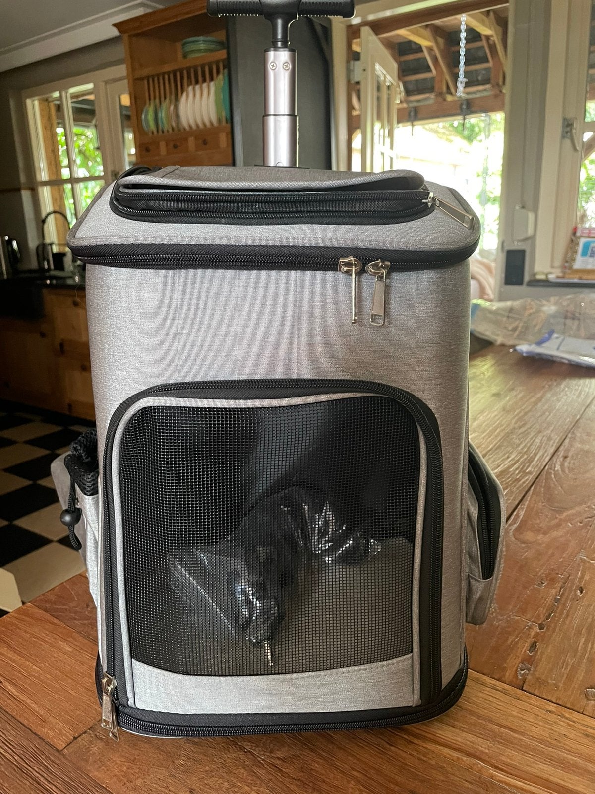 Katten transport trolly/rugzak, Ophalen, Nieuw