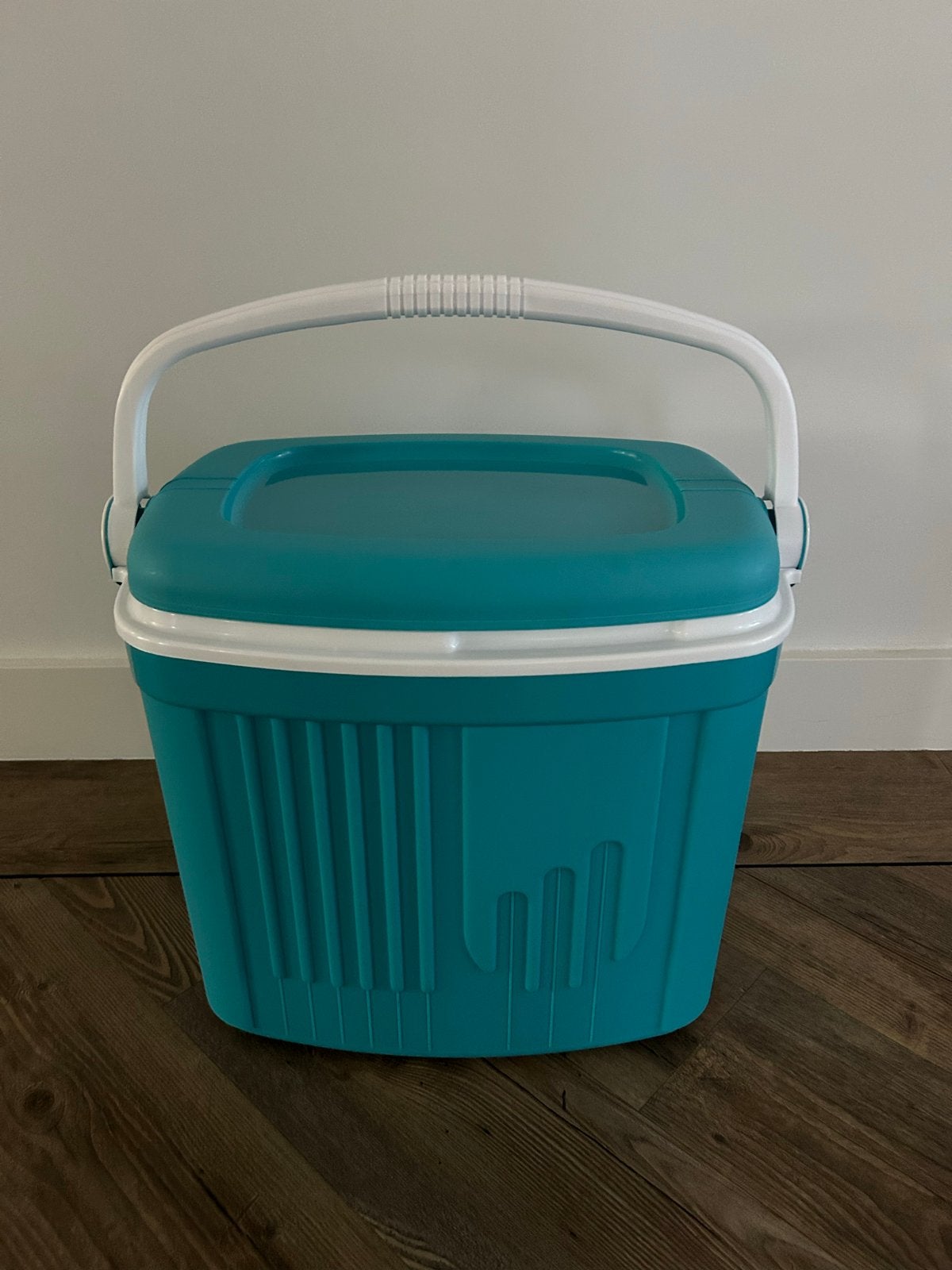 Handige Koelbox -25 liter Perfect voor Picknicks en Uitjes, Ophalen, Zo goed als nieuw, Koelbox, Koelelement