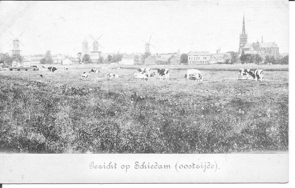 Gezicht op Schiedam Oostzijde., Verzamelen, Ansichtkaarten | Nederland, Ophalen of Verzenden, 1960 tot 1980, Ongelopen, Zuid-Holland