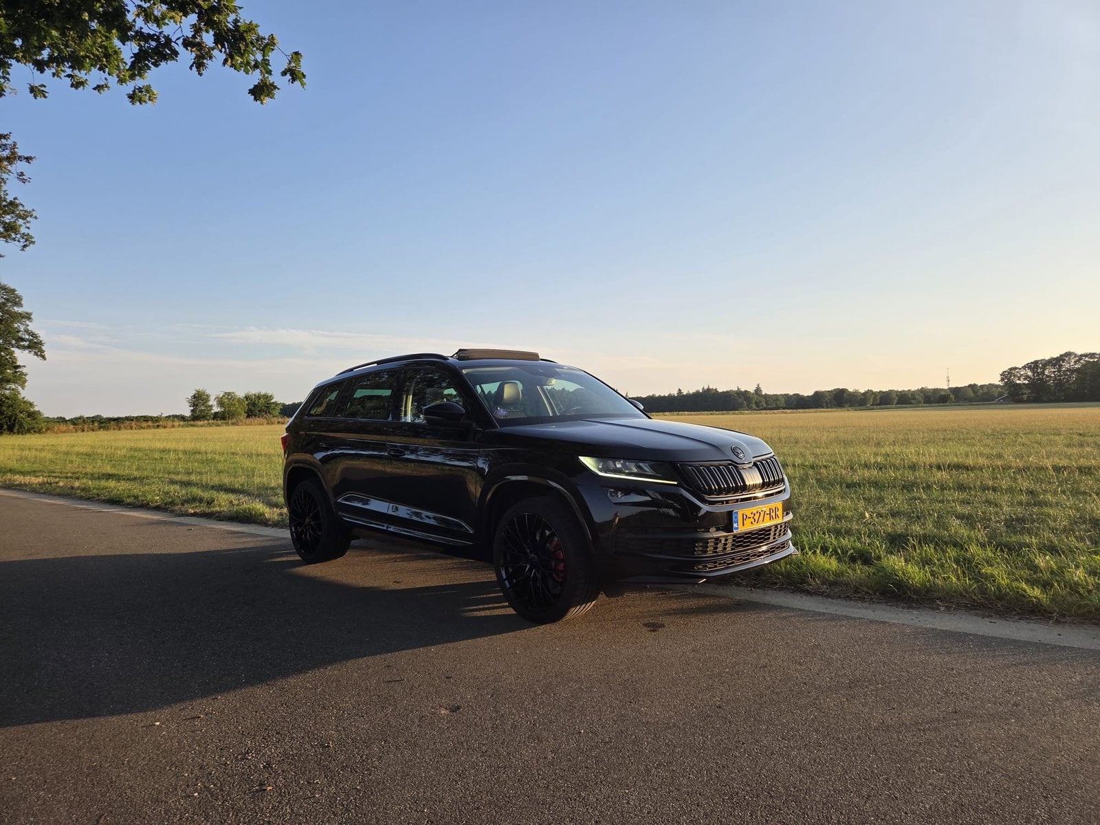 Skoda Kodiaq 2.0 TSI Greentech 180pk Dsg-7 4x4 2018 Zwart, Zwart, 1984 cc, 179 pk, Leder en Stof