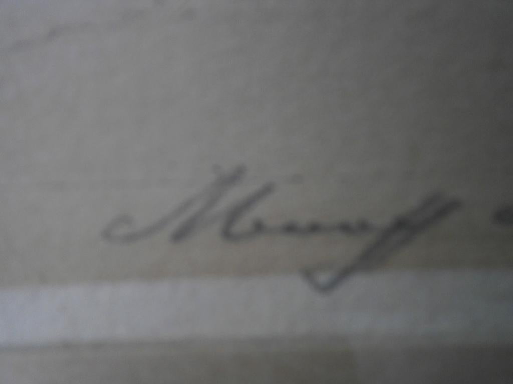 VIANEN, Mooie Winterse ets van Van Hemert, (P.Scheen ), Antiek en Kunst, Kunst | Etsen en Gravures, Ophalen of Verzenden