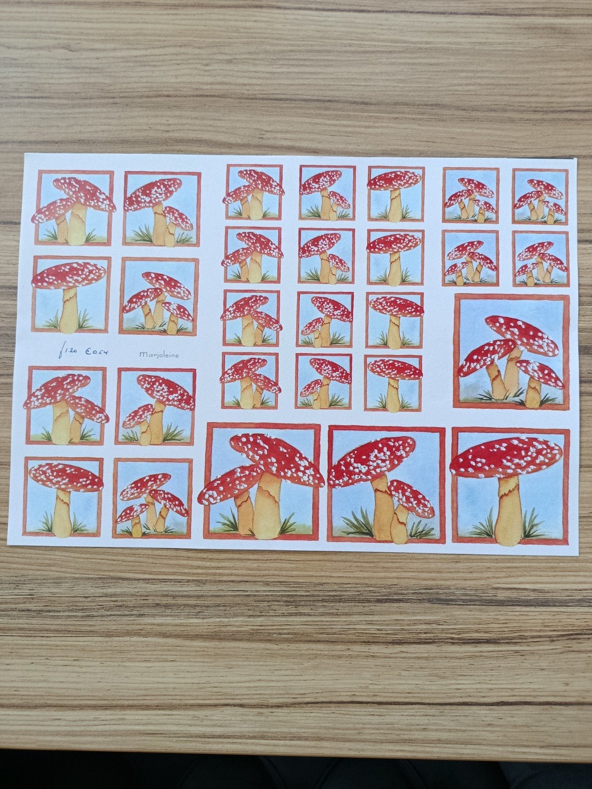 Paddestoelen Knipvellen,, Ophalen of Verzenden, Nieuw, Natuur, Knipvel