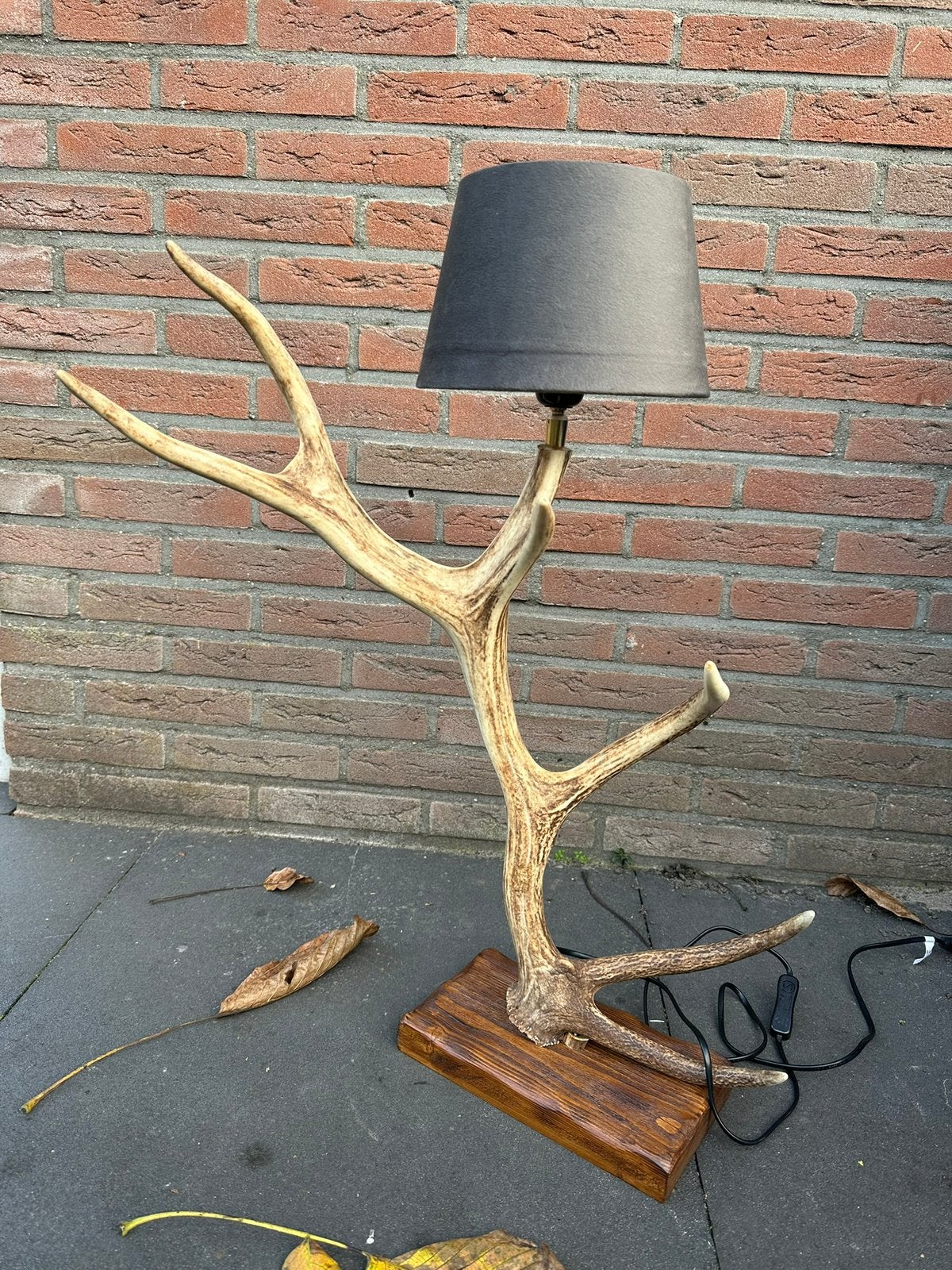 Geweilamp.schemerlamp.geweien.edelhert.damhert.tafellamp., Ophalen, Nieuw