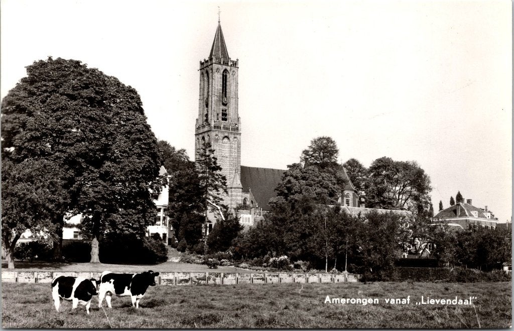 Amerongen - 12 oude ansichtkaarten, Ophalen of Verzenden, 1940 tot 1960, Gelopen, Utrecht
