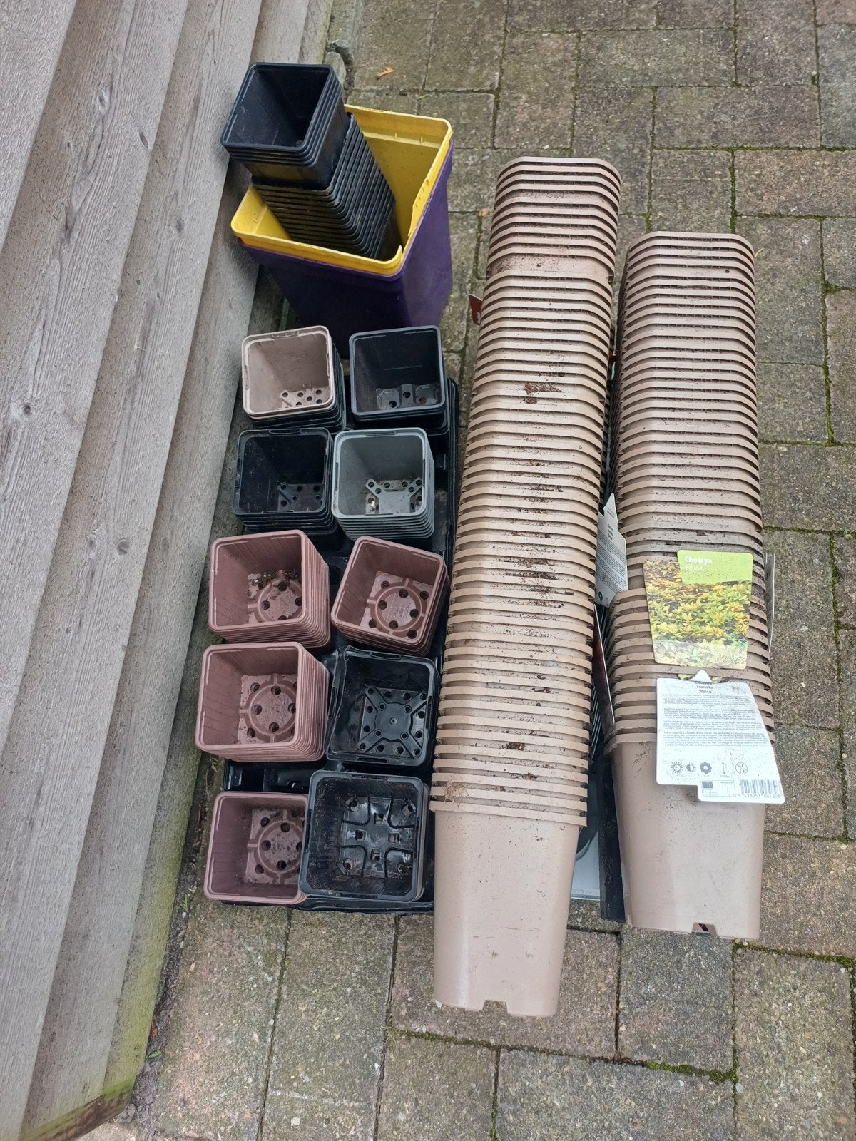 gratis bloempotten, Ophalen, Kweekbak
