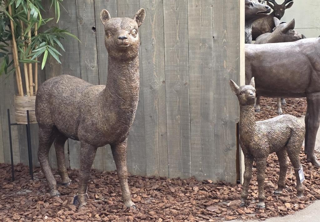 ALPACA / BRONZEN TUINBEELD, Dierenbeeld, Nieuw, Info@huisentuindecoratiemarie.nl, Huis en tuin decoratie marie