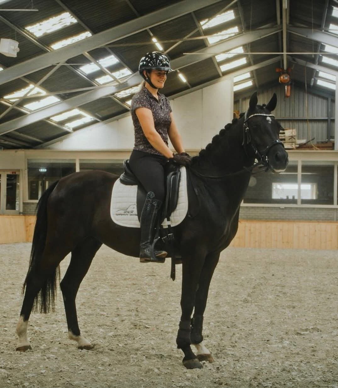 Eyecatcher D pony, Ruin