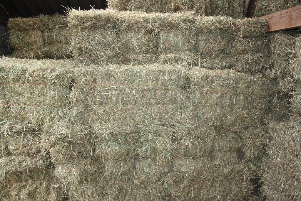 Hooi hooibaaltjes hooibalen balen hooibaal paardenhooi, Ophalen, Vee