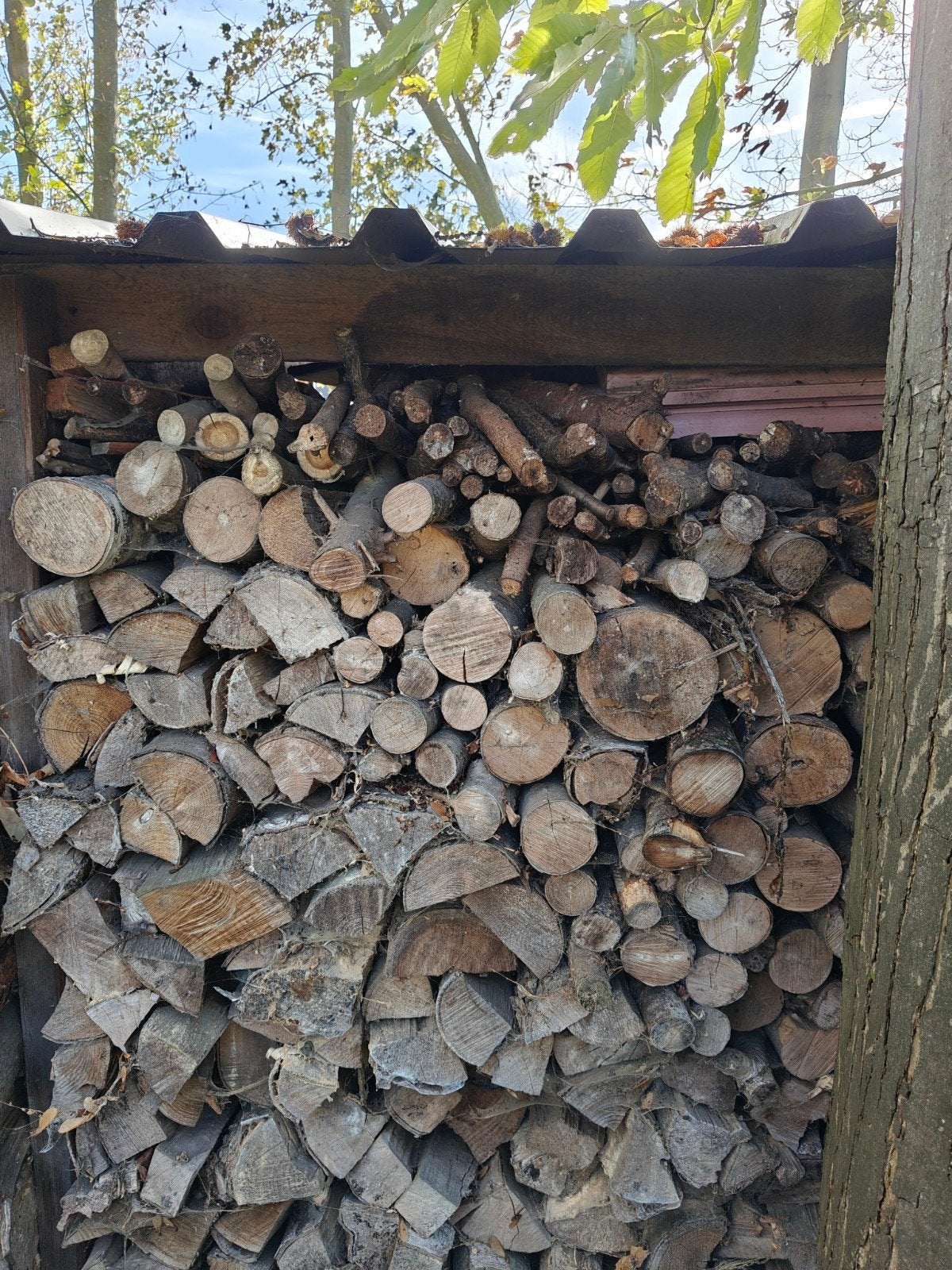 Brandhout, 6 m³ of meer, Ophalen of Verzenden, Berkenhout, Blokken