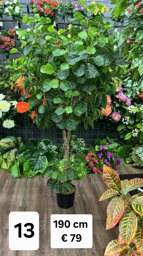 Diverse kunstplanten  nieuw, Lankforst, Nieuw, Ophalen of Verzenden, Info@melliestradingcompany.nl