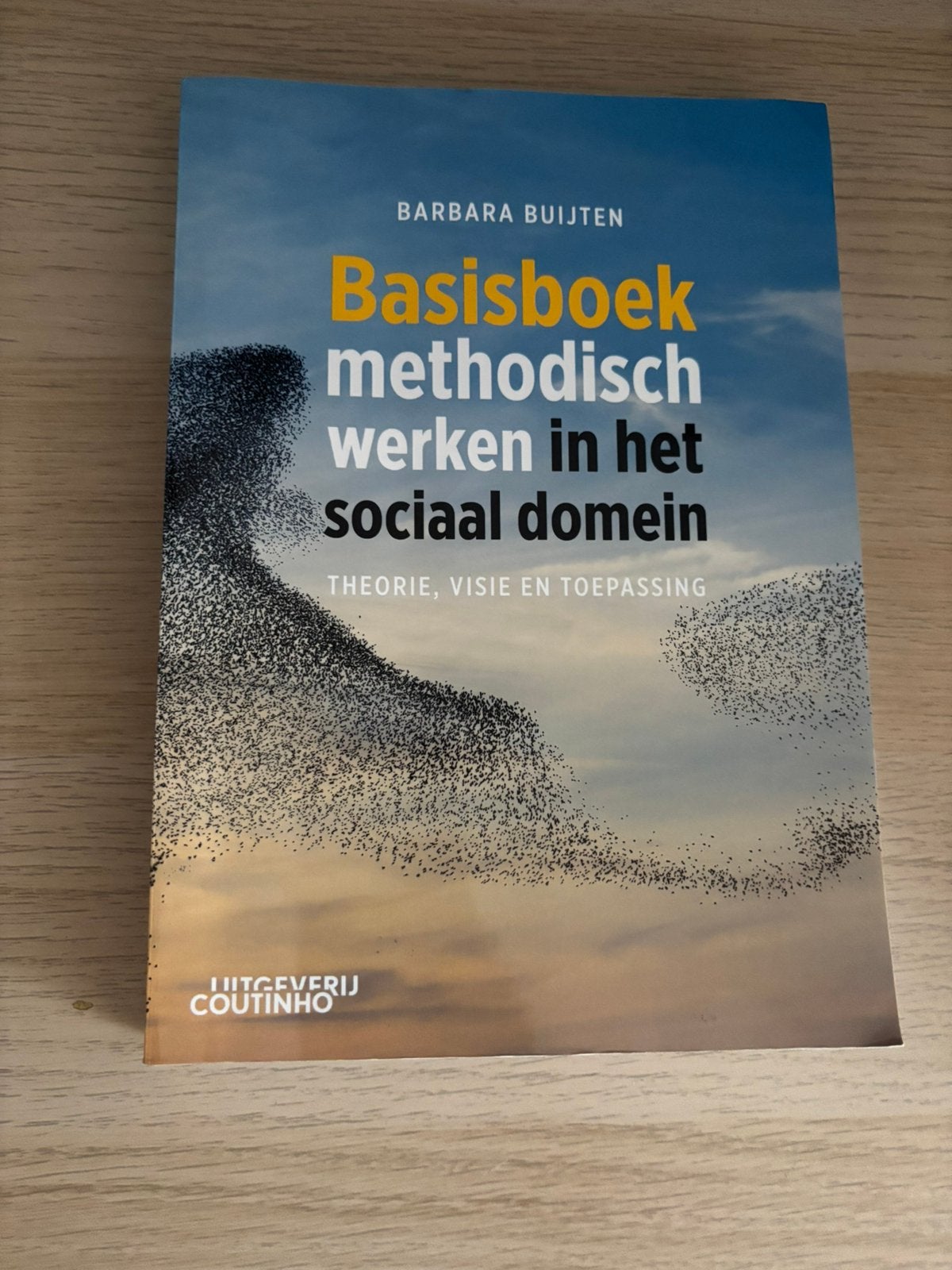 Basisboek methodisch werken in het sociaal domein, Boeken, Studieboeken en Cursussen, Zo goed als nieuw, Alpha, Barbara Buijten