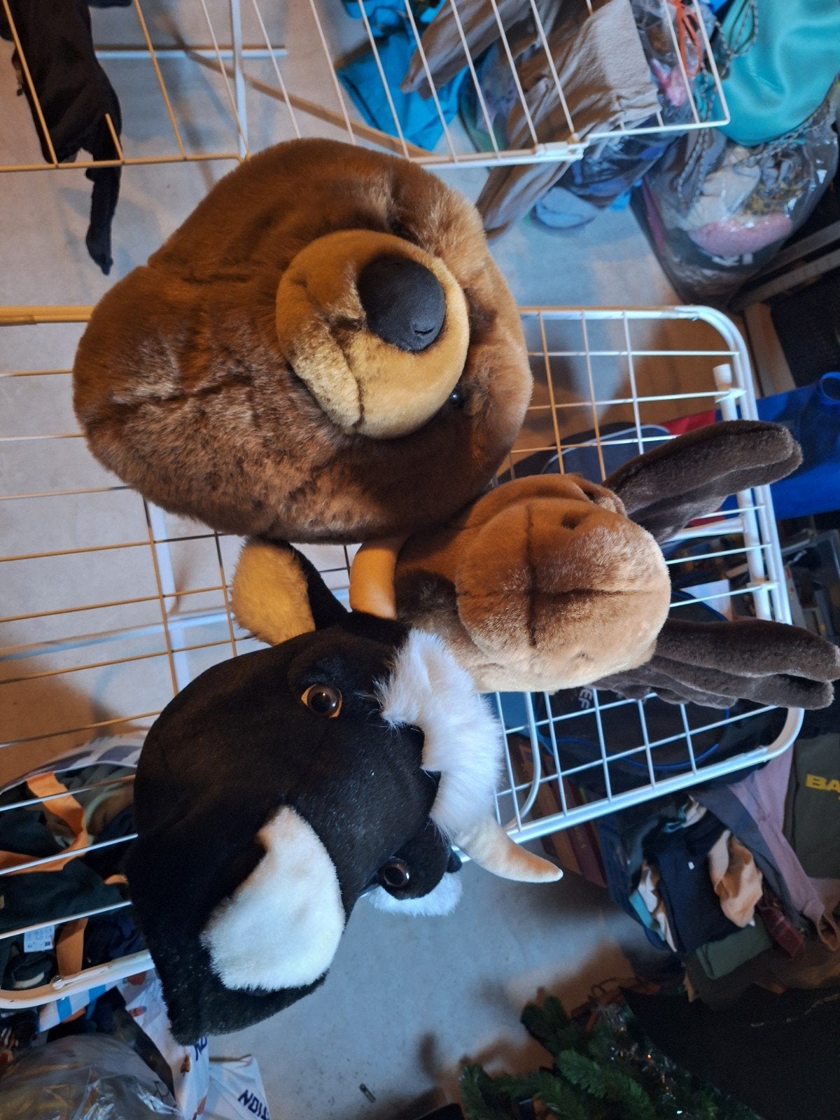 Leuke Dierenkoppen voor Kinderkamer - Muurdecoratie, Ophalen, Zo goed als nieuw, Jongen of Meisje