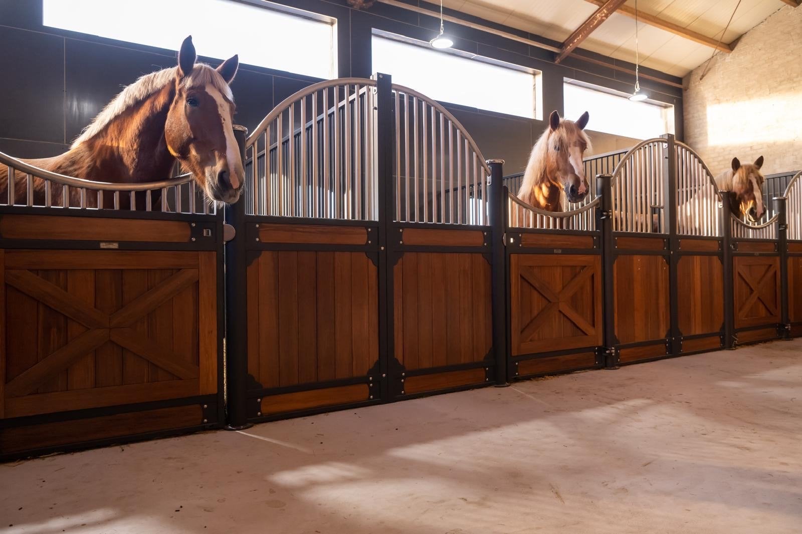 Paardenstal luxe voor en tussenwand, Dieren en Toebehoren