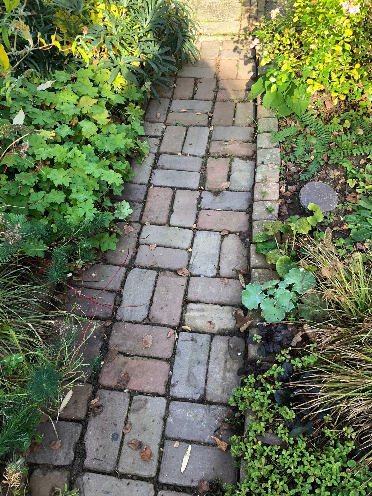 oude klinkers bonkers, Tuin en Terras, Gebruikt, Klinkers, Beton, 5 tot 10 m²