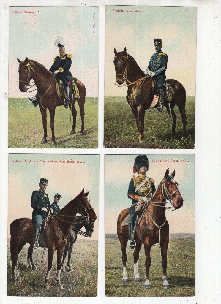 Verzameling Militaria Militair paarden Cavalerie  84x, Verzamelen, Ophalen, Voor 1920, Gelopen, Overige thema's