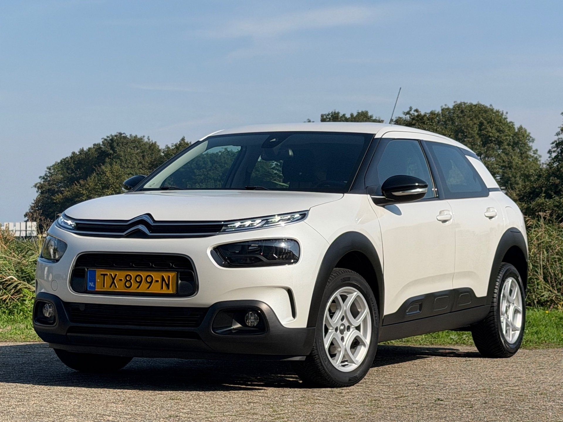 Citroen C4 Cactus 1.2 PureTech 110pk Business - Blanc Nacré, Voorwielaandrijving, Stof, 1199 cc, Wit