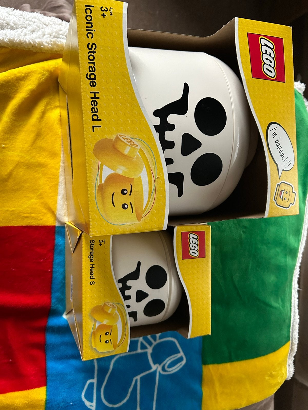 Lego Iconic Storage Head L & S - Skull (nieuw in doos), Lego, Overige typen, Nieuw, Ophalen of Verzenden