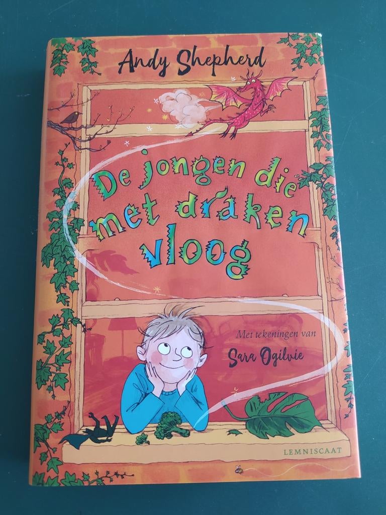 Andy Shepherd - De jongen die met draken vloog, Fictie algemeen, Ophalen of Verzenden, Andy Shepherd, Zo goed als nieuw