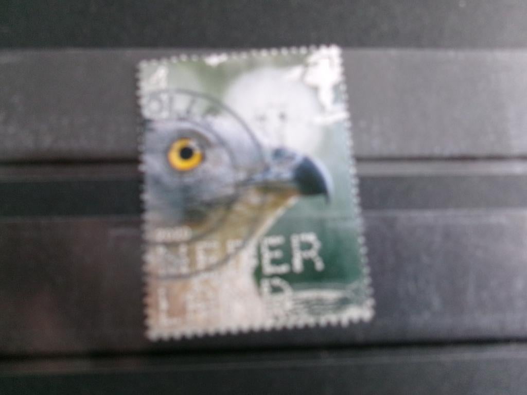 2020 - beleef de natuur wespendief (460c), Verzenden, Gestempeld