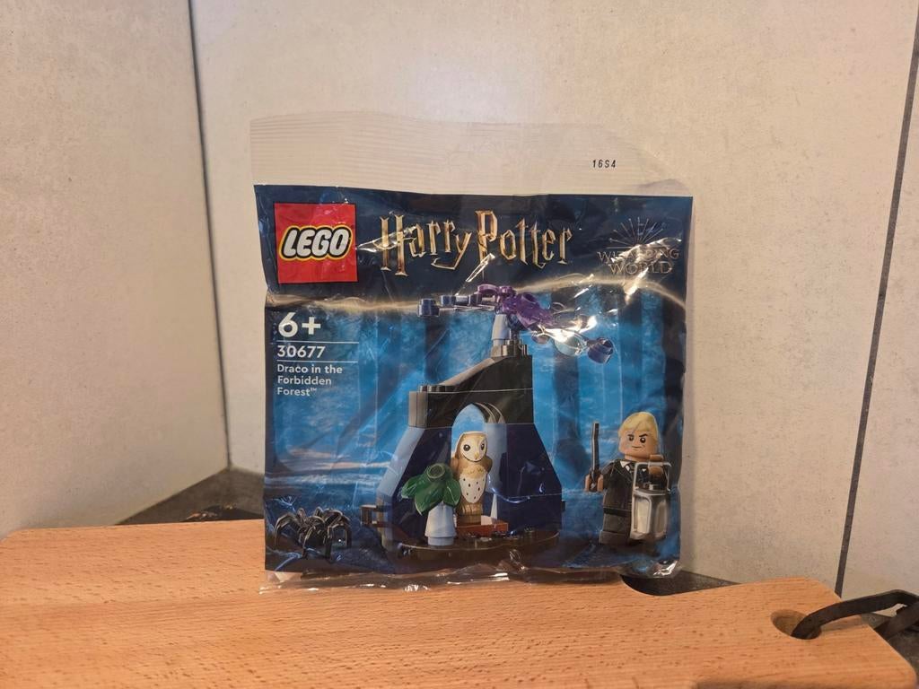 Lego Harry Potter 30677 Draco in the Forbidden Forest, Kinderen en Baby's, Speelgoed | Duplo en Lego, Ophalen of Verzenden, Nieuw