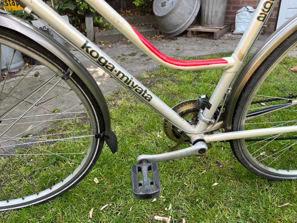Dames sportfiets, Gebruikt, Velgrem, Versnellingen, 56 cm of meer