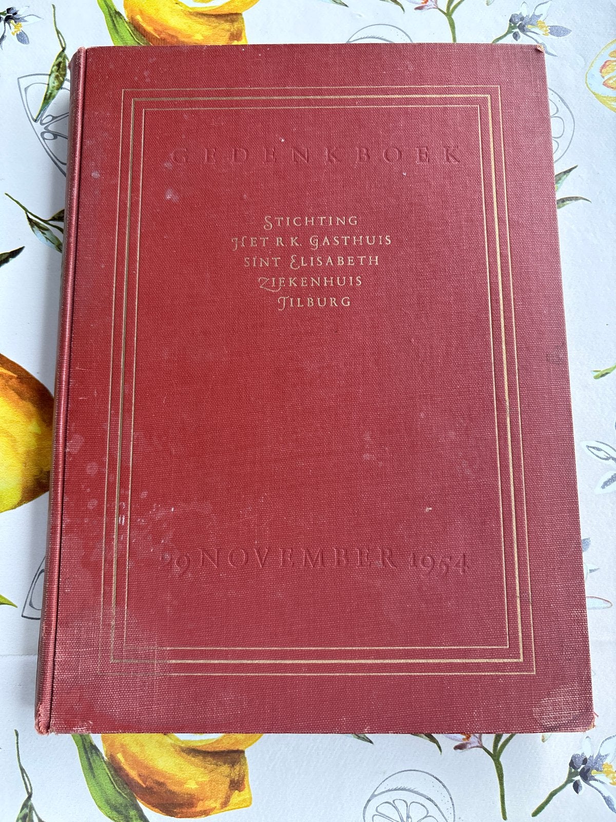 Gedenkboek Sint Elisabeth Ziekenhuis Tilburg 1954, Ophalen of Verzenden, Gelezen, Nederland