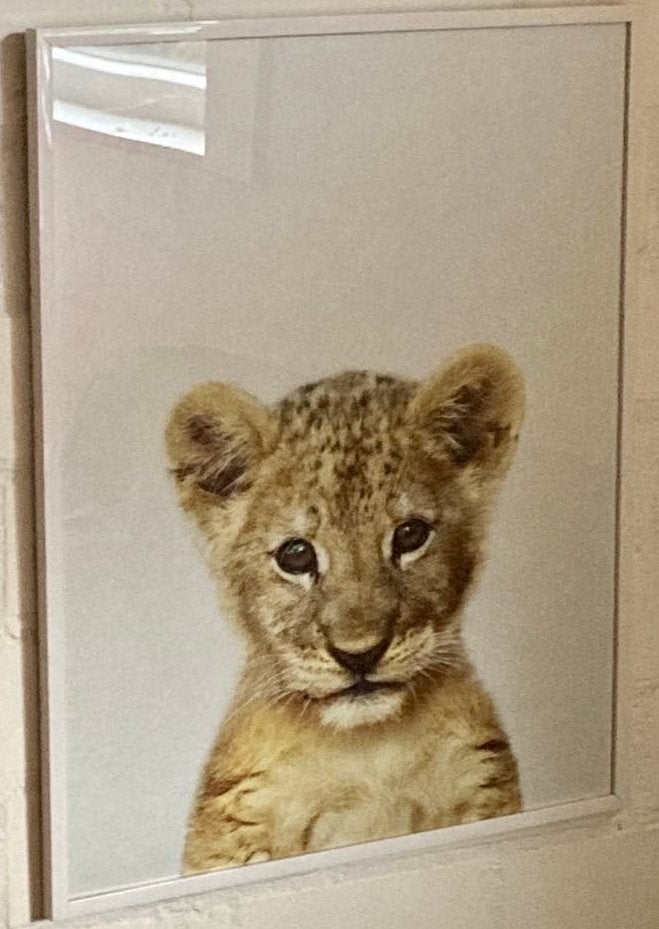 3-luik schattige baby dieren Leeuw Giraf, Olifan, Huis en Inrichting, Woonaccessoires | Schilderijen, Tekeningen en Foto's, Ophalen
