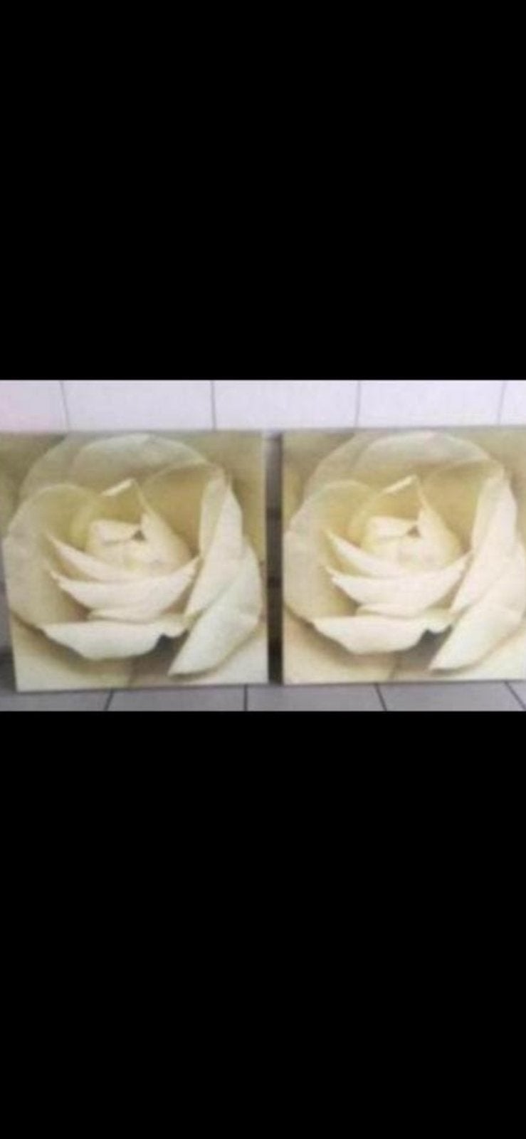 set:  2 IKEA ‘PJÄTTERYD’ WANDDECORATIES, Meerkleurig, Ophalen of Verzenden, Zo goed als nieuw, Overige typen