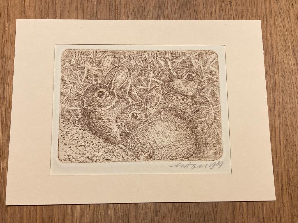 Ets met haasjes gesigneerd door Henk Daas uit 1989, Ophalen of Verzenden