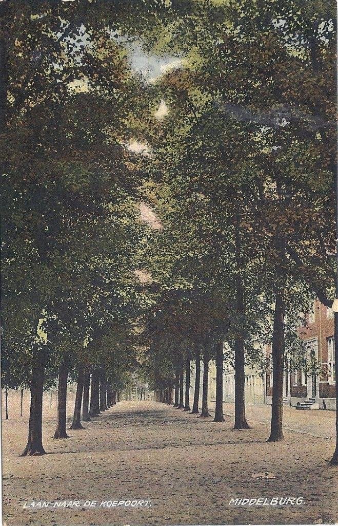 Middelburg Laan naar de Koepoort staande oude kleurkaart, Verzenden, Voor 1920, Ongelopen, Zeeland