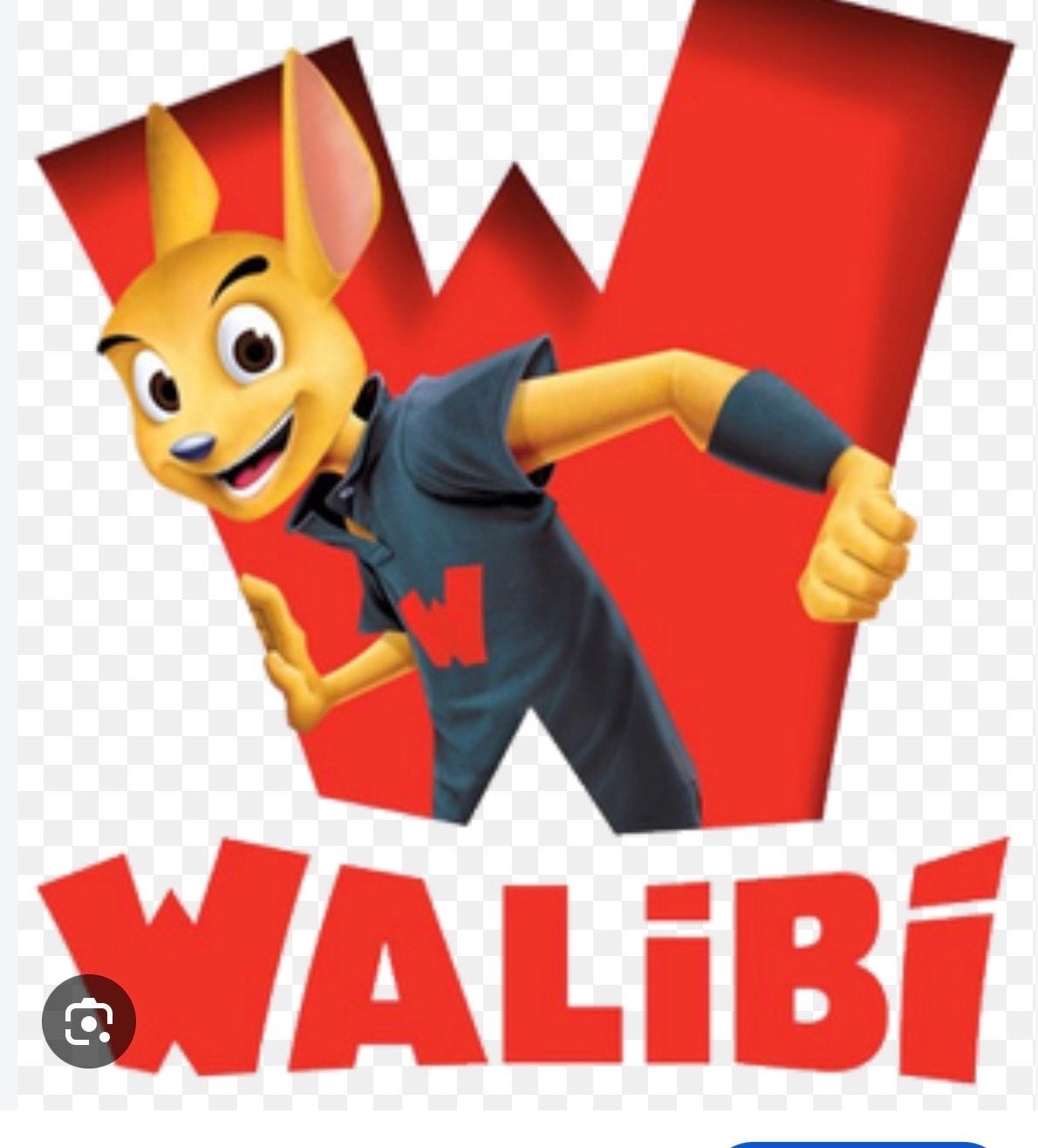 2 kaarten Walibi belgie, Twee personen, Ticket of Toegangskaart