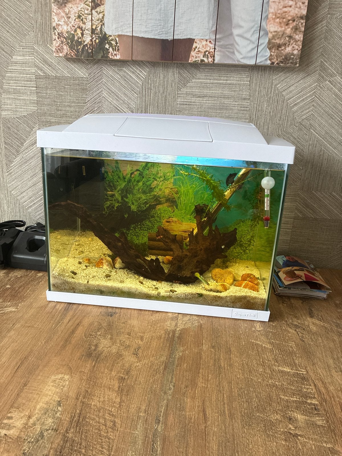 Superfish aquarium met toebehoren, Ophalen, Leeg aquarium