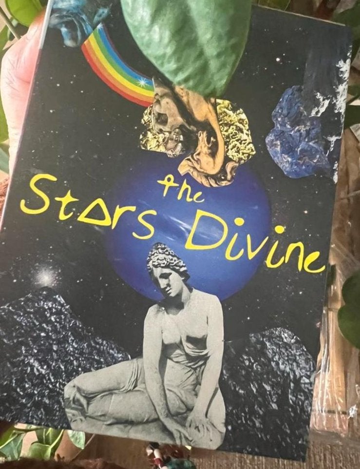 The Stars Divine Tarot Deck by Alejandra León Wolfe Rocha, Ophalen of Verzenden, Zo goed als nieuw, Tarot of Kaarten leggen, Overige typen