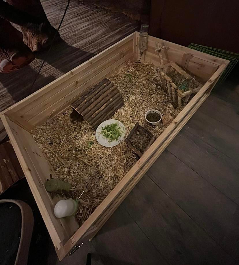 Binnenhok cavia’s, Dieren en Toebehoren, Knaagdieren en Konijnen | Hokken en Kooien, 110 cm of meer, Zo goed als nieuw, Hok, Cavia