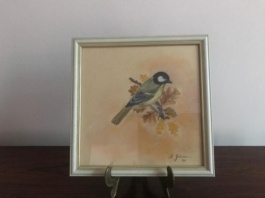 Lijst kader koolmees vogel achter glas pastel, Ophalen of Verzenden