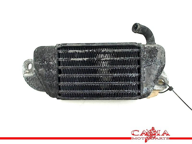 Radiateur BMW R 1200 C (R1200C 97) (1997-01/..), Gebruikt, Petuelring 130, München 80809, , Duitsland, BMW, Bayerische Motoren Werke AG