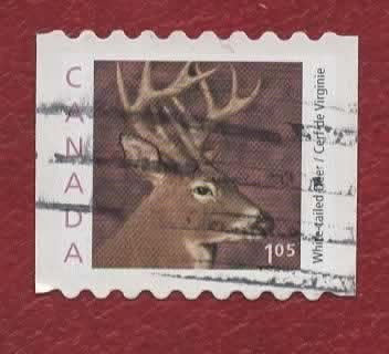 Fauna - Dieren - Hert - Canada cat.nr. 1949 - $1,05 -gebr, Ophalen of Verzenden, Gestempeld, Dier of Natuur