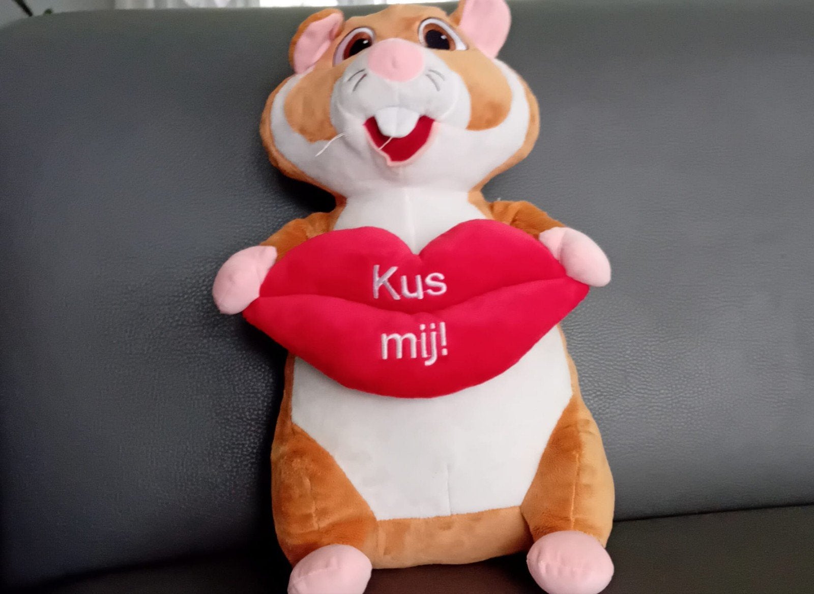 ah hamsters, Verzamelen, Albert Heijn, Ophalen