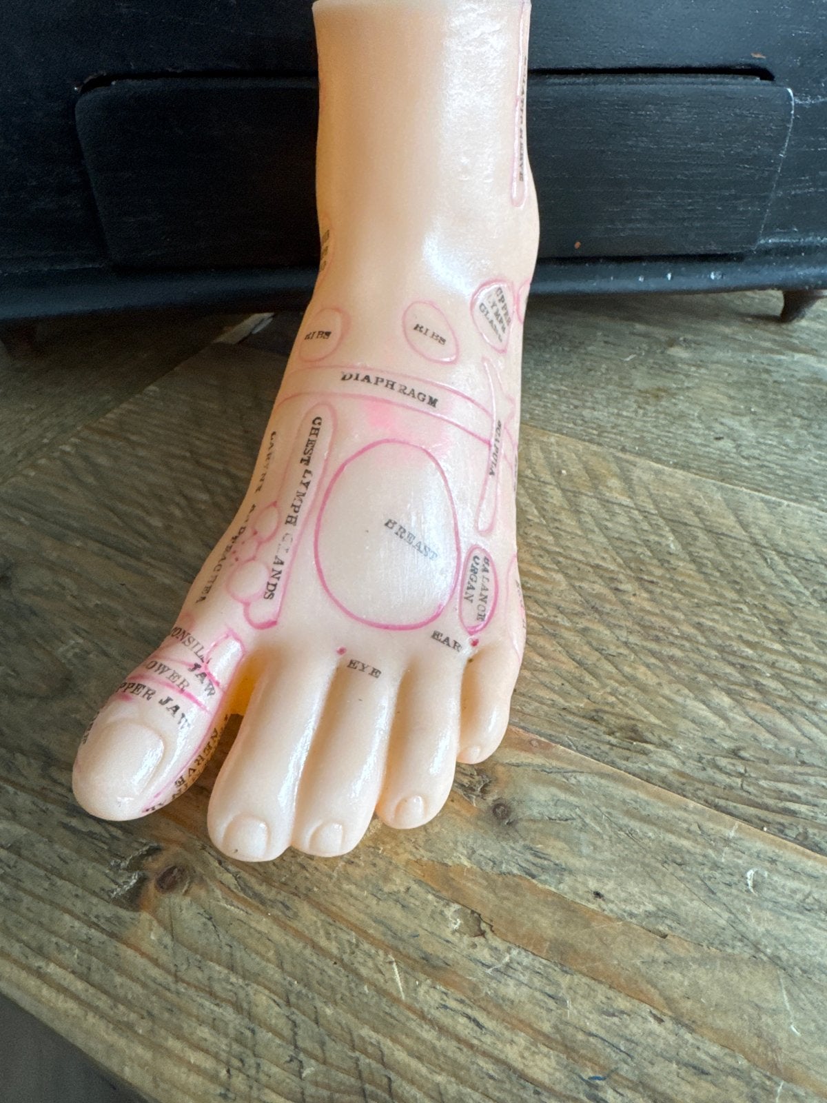 Vintage Voet Reflexologie Model - Anatomisch Voetmodel, Ophalen of Verzenden